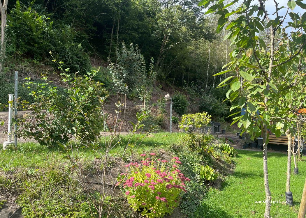 (54459) Wiltingen - 344 Zum Schlossberg — foto