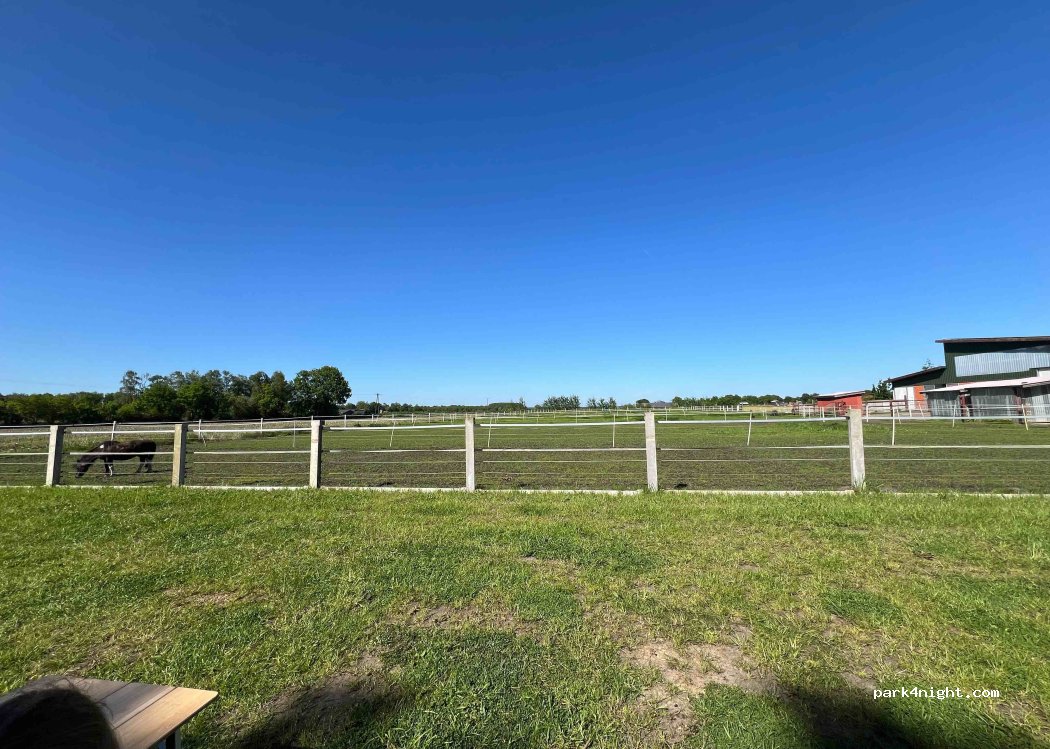 Ferienhof Ferienwohnungen — foto 3