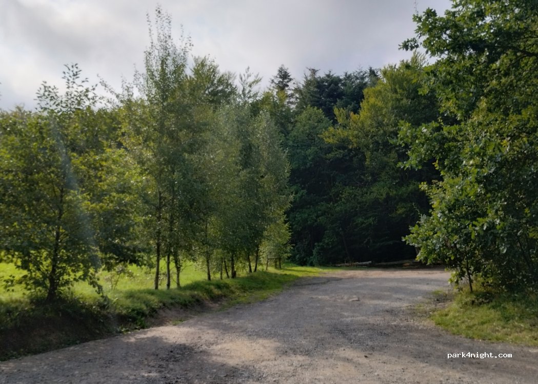 (26-010) Święta Katarzyna - 2A Kielecka — foto