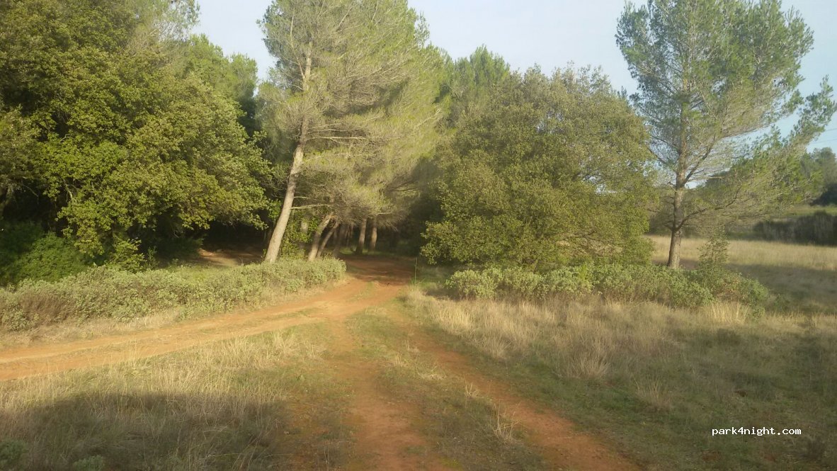 (13790) Rousset - D57B — foto