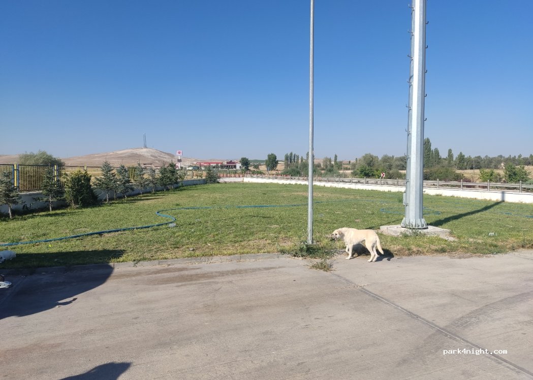 (26600) Eskişehir - — foto 2