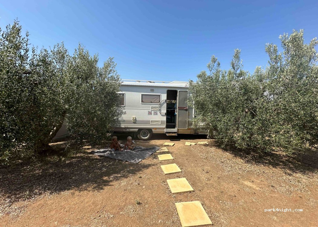 Farm Partali Camp — foto 3