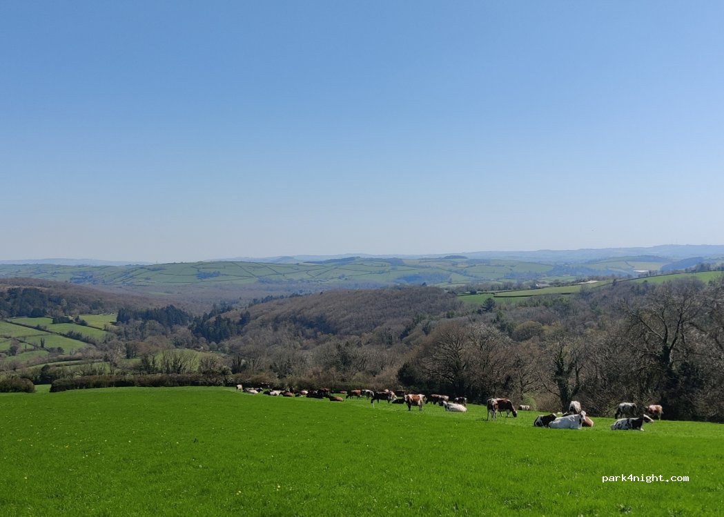 Bowden Farm Organics — foto