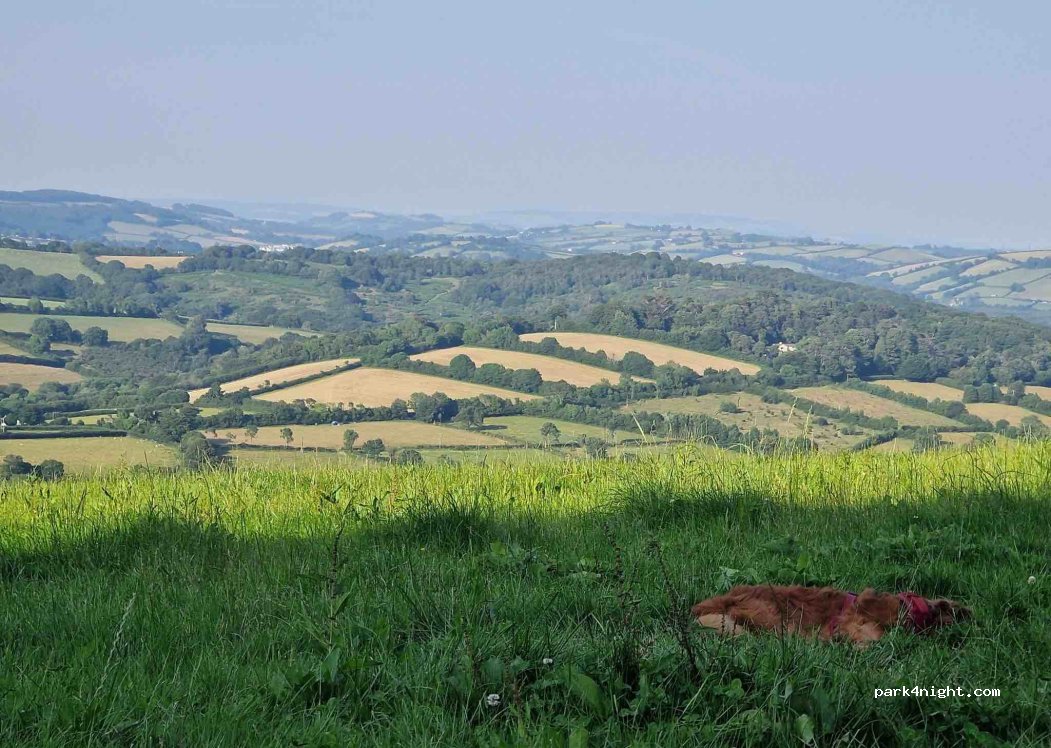 Bowden Farm Organics — foto 5
