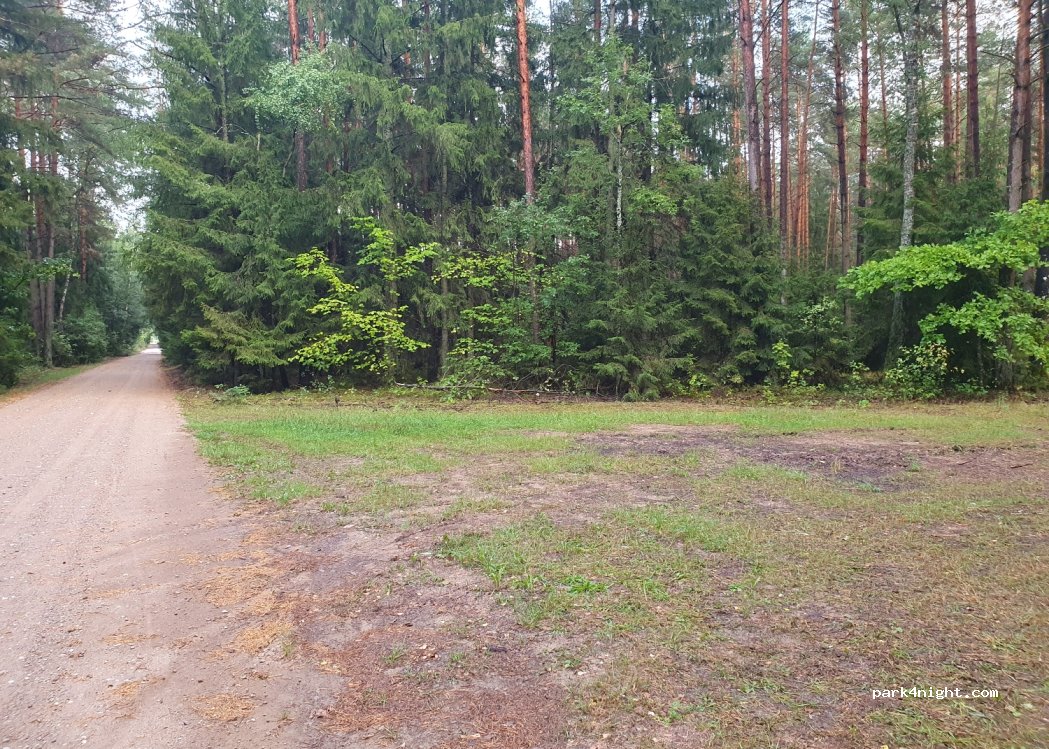 (19-206) Kuligi - — foto 3