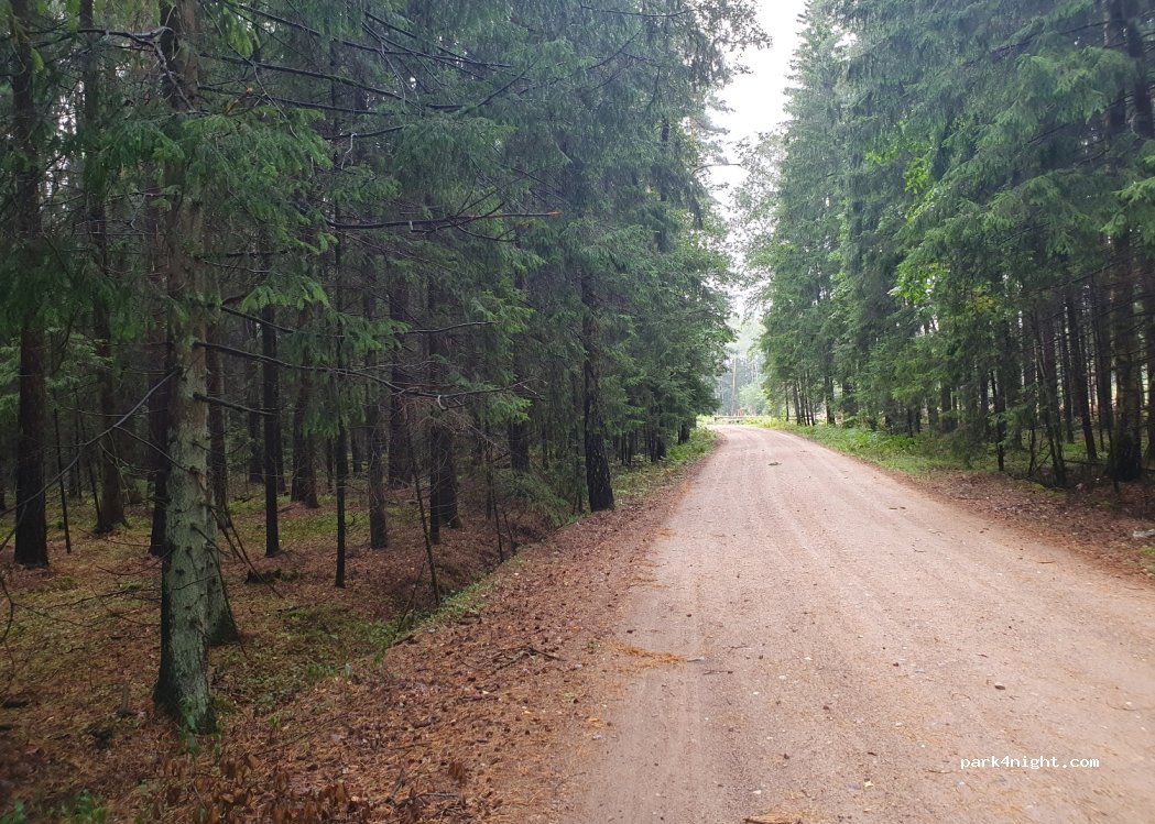 (19-206) Kuligi - — foto 2