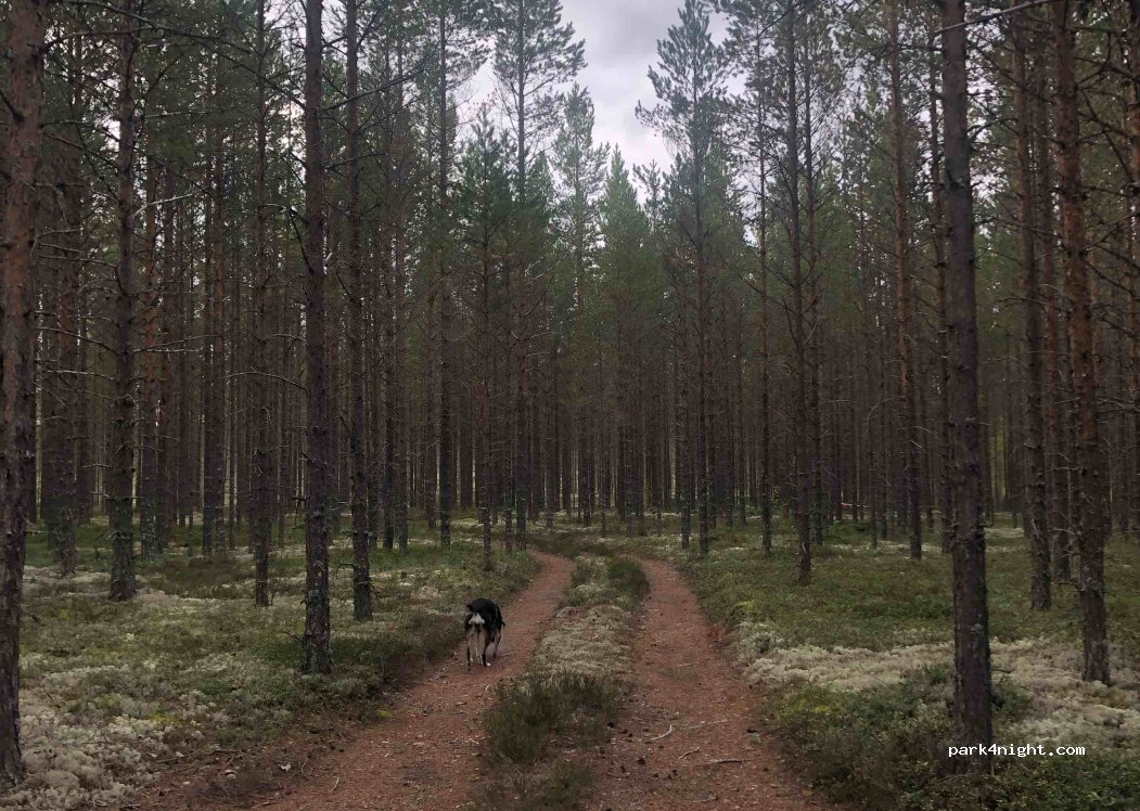 (792 93) Tiberget - Unnamed Road — foto