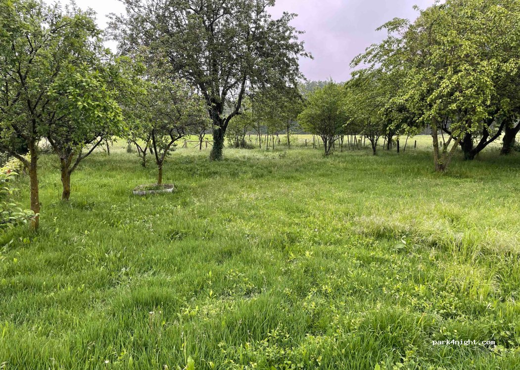 (7436) Újvárfalva - Kossuth Lajos utca 18 — foto