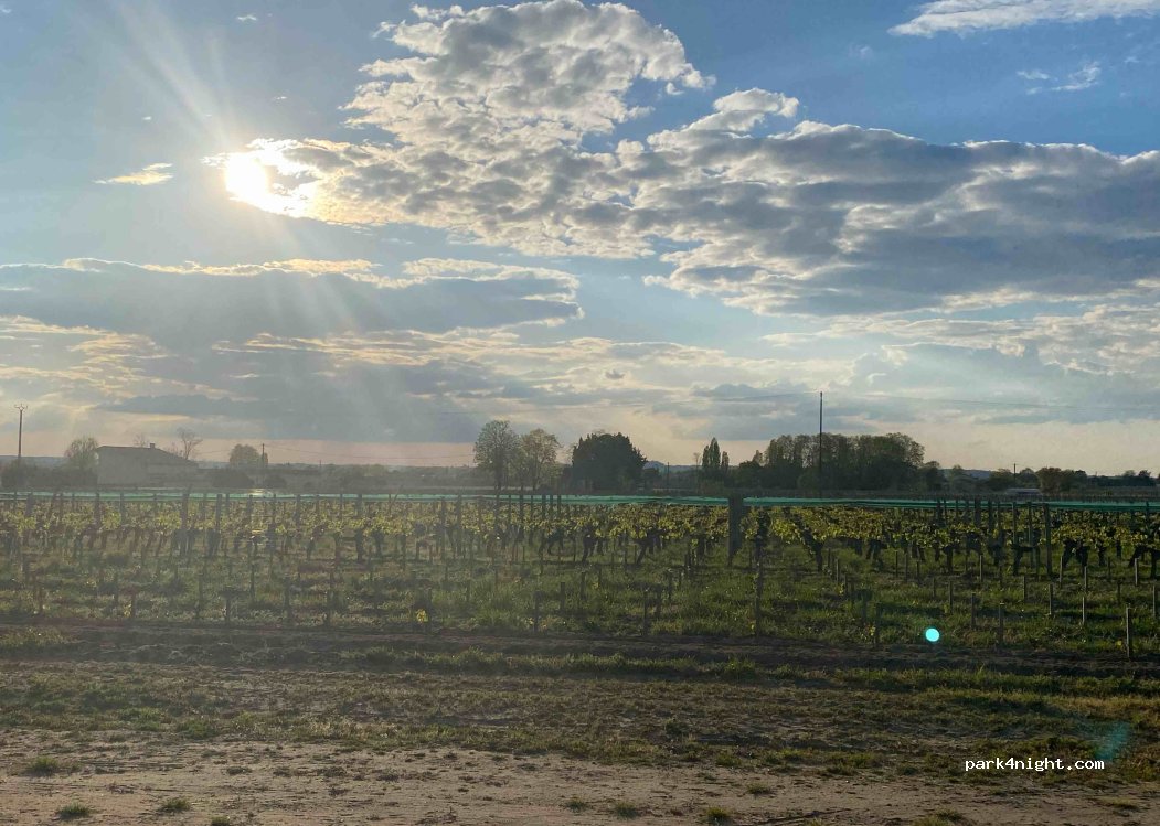 Château Arnaud de Jacquemeau — foto 2