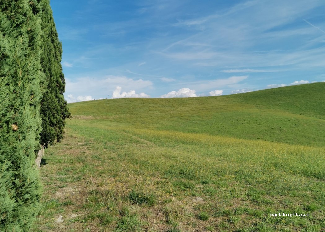 (50052) Certaldo - Strada Vicinale Torrione — foto 2