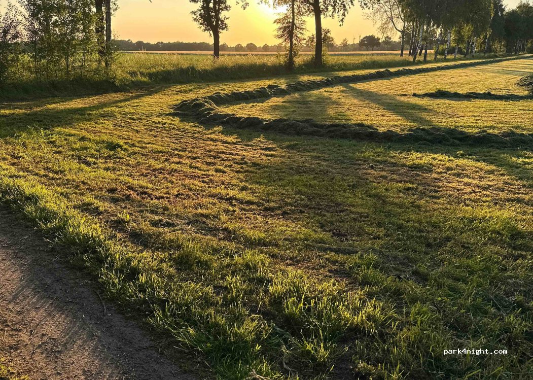 Wohnmobilstellplatz Hof Baden — foto