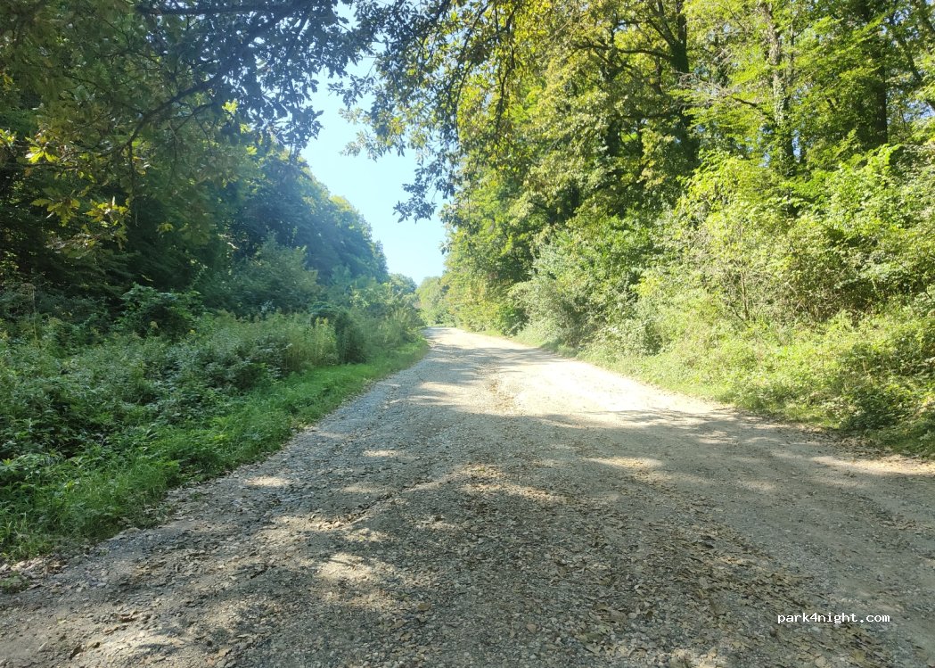 (8353) Zalaszántó - — foto