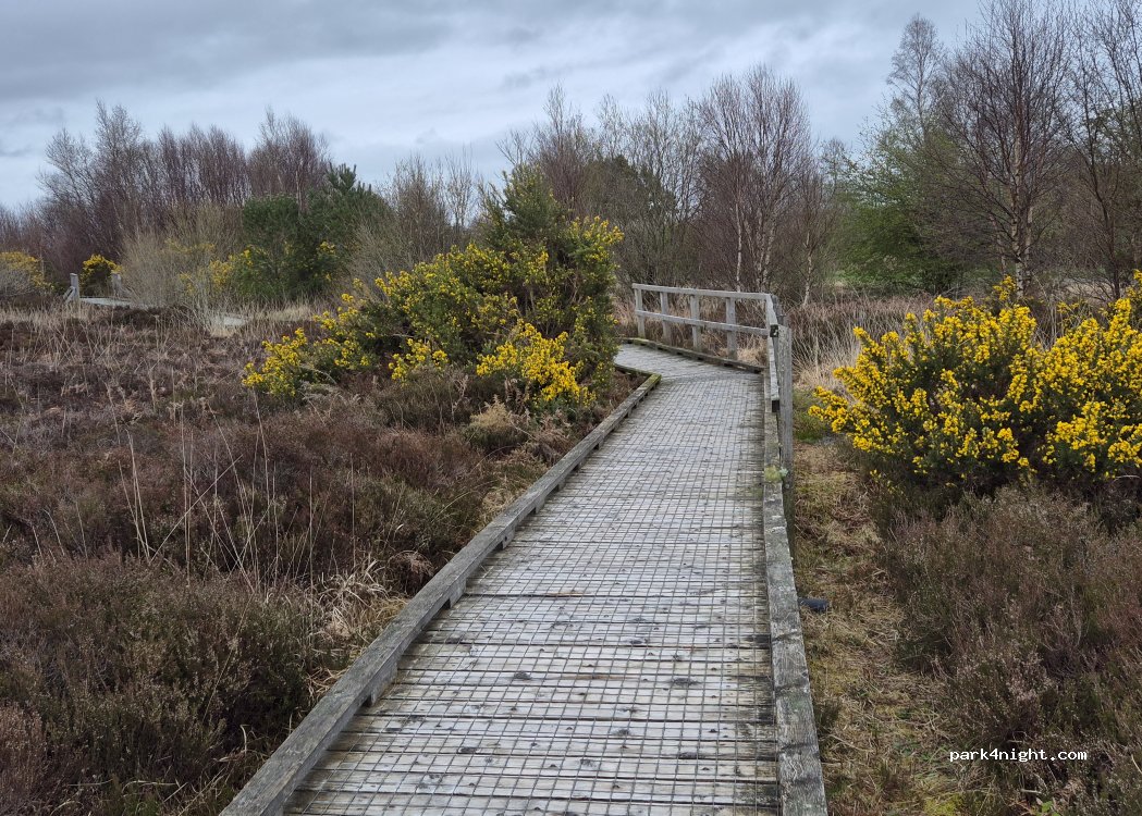 (R35 E4X6) Erry - Nature Reserve Broadwalk — foto 2