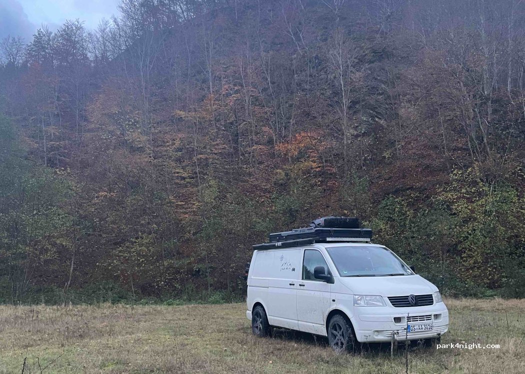 (247486) Băiașu - 703M — foto 2