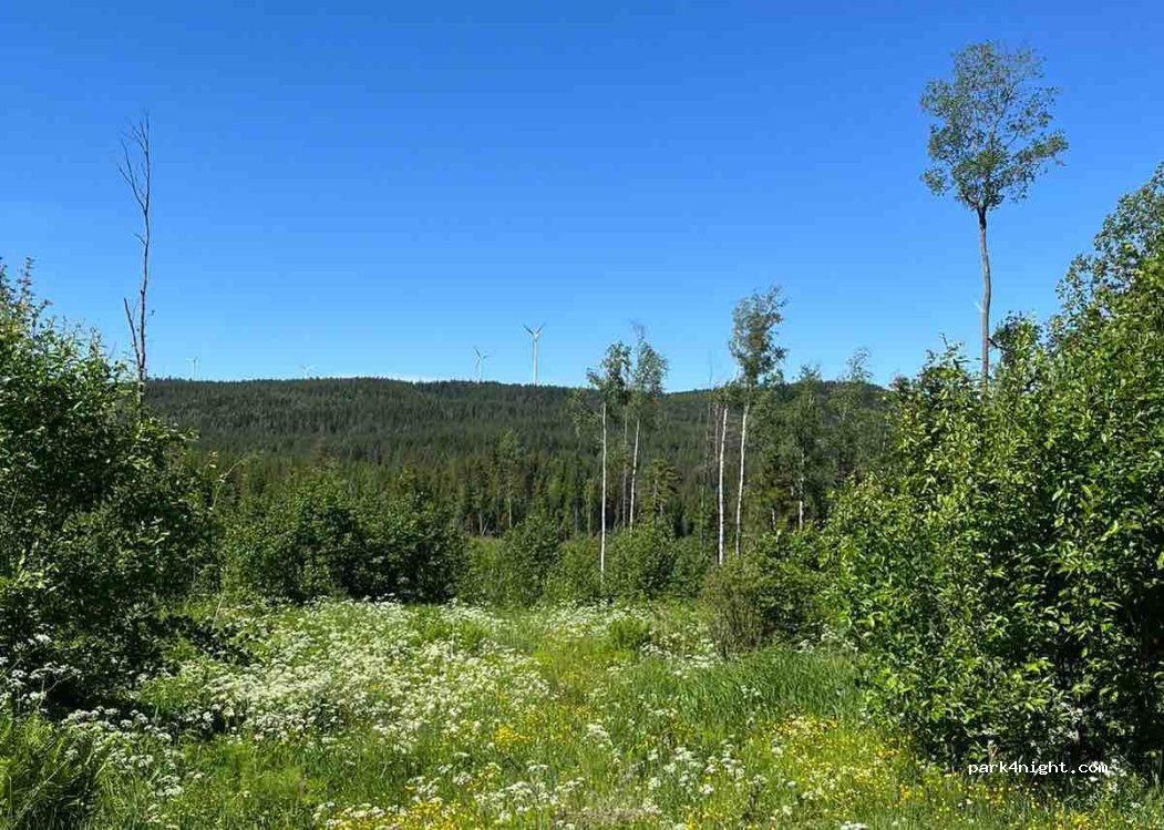 Camping & Stugby — foto 2