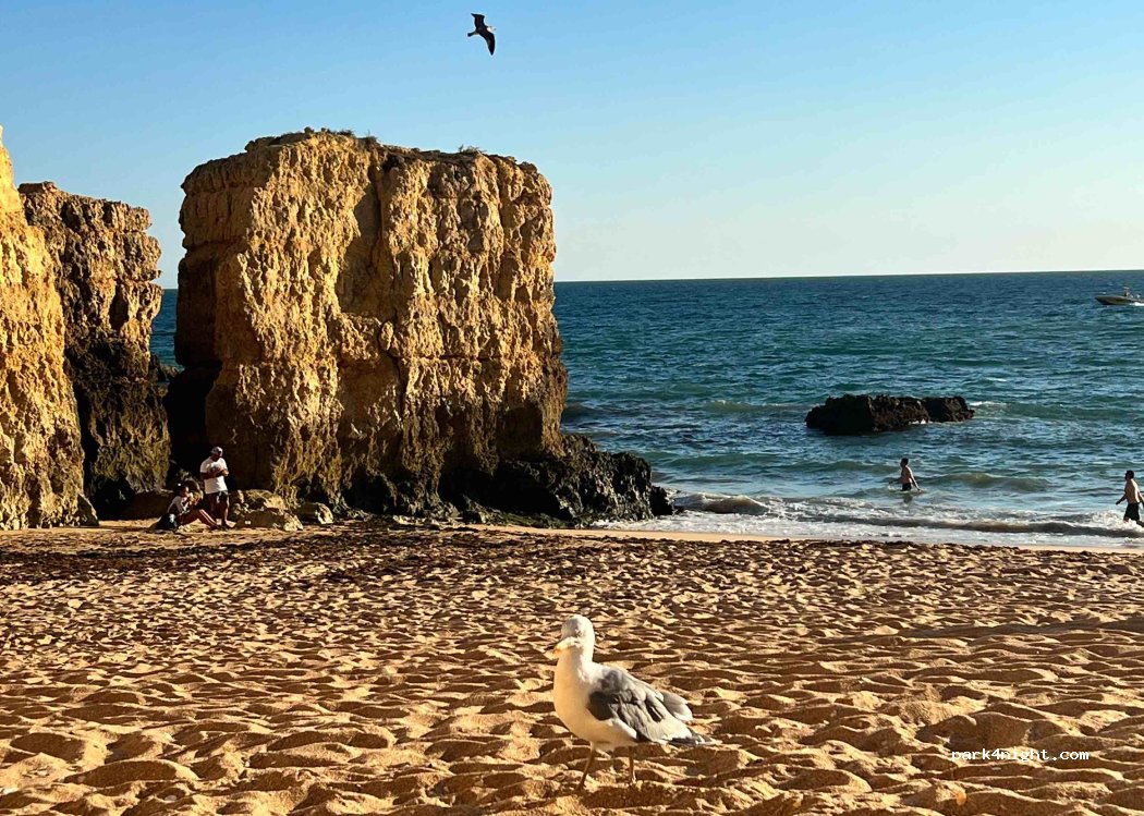 Park Praia Torre — foto 4