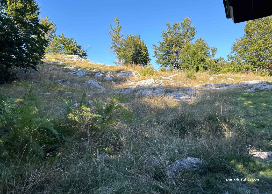 () Gornič - — foto 3