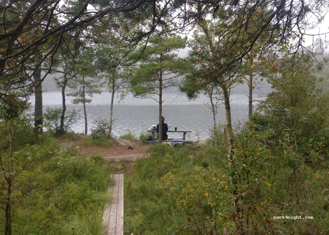 (446 93) Skepplanda - — foto 3