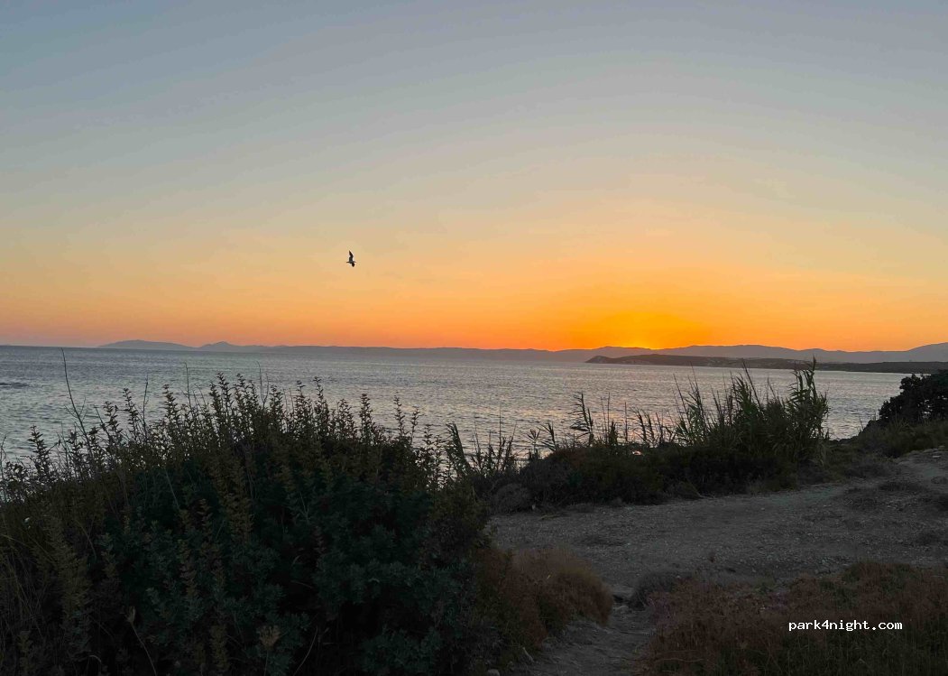 (35000) İzmir - — foto