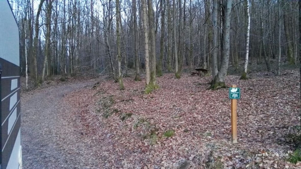 (08800) Monthermé - 7 Rue de la Lyre — foto
