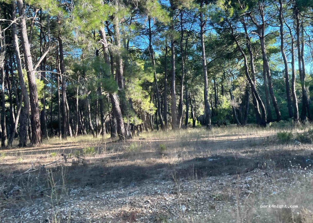 (07550) Denizkent - — foto