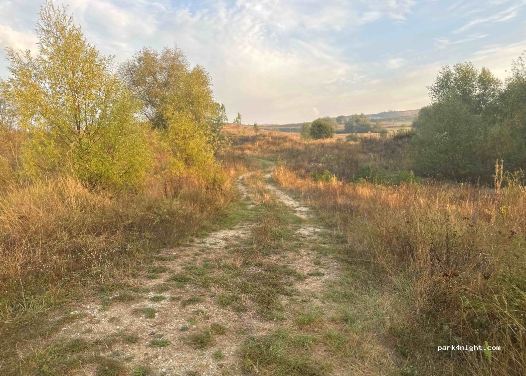 (507128) Șona - Unnamed Road — foto 2