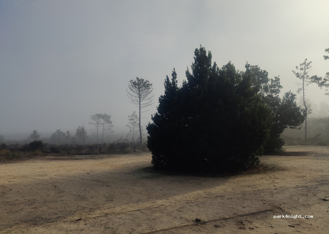 (3105) Guia - R. da Lagoa — foto 3