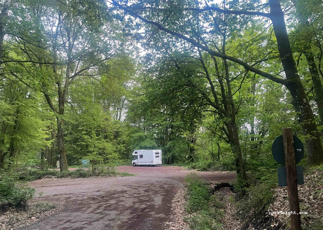 (76889) Böllenborn - — foto 3