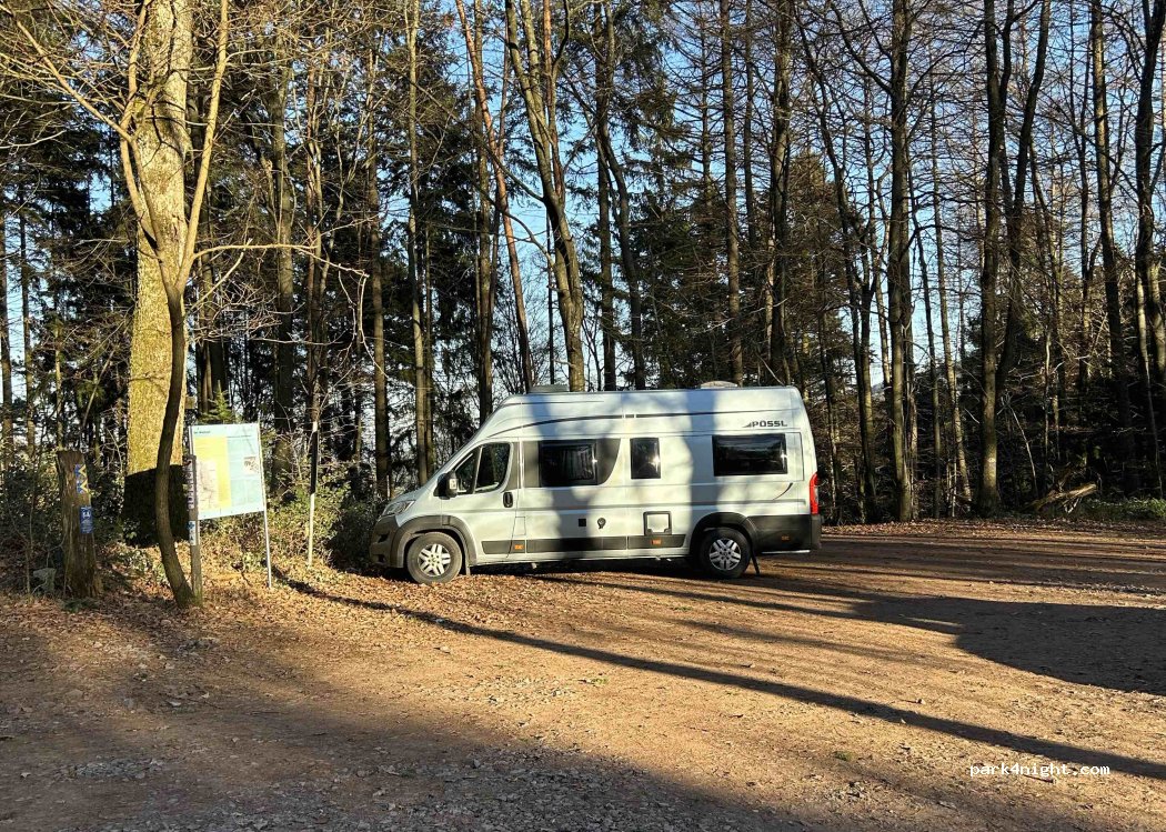 (76889) Böllenborn - — foto 4