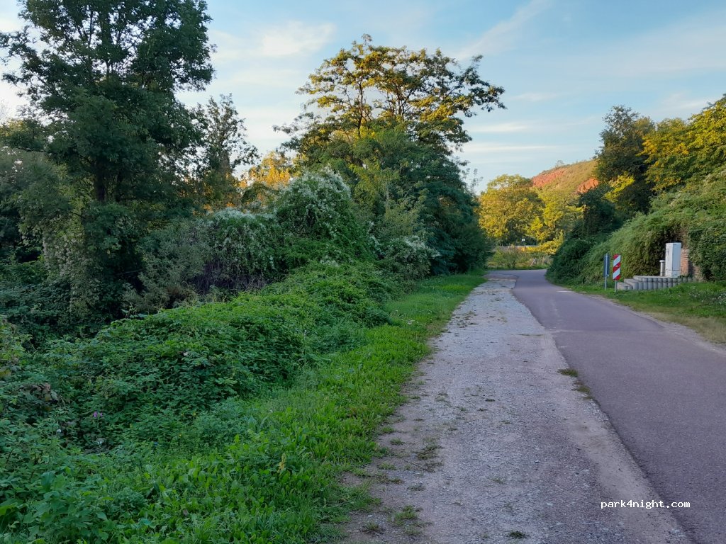 (06193) Wettin-Löbejün - 18 Burgberg — foto