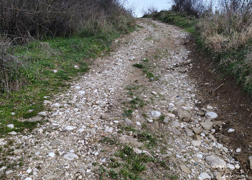 (33633) Dragot - — foto 4
