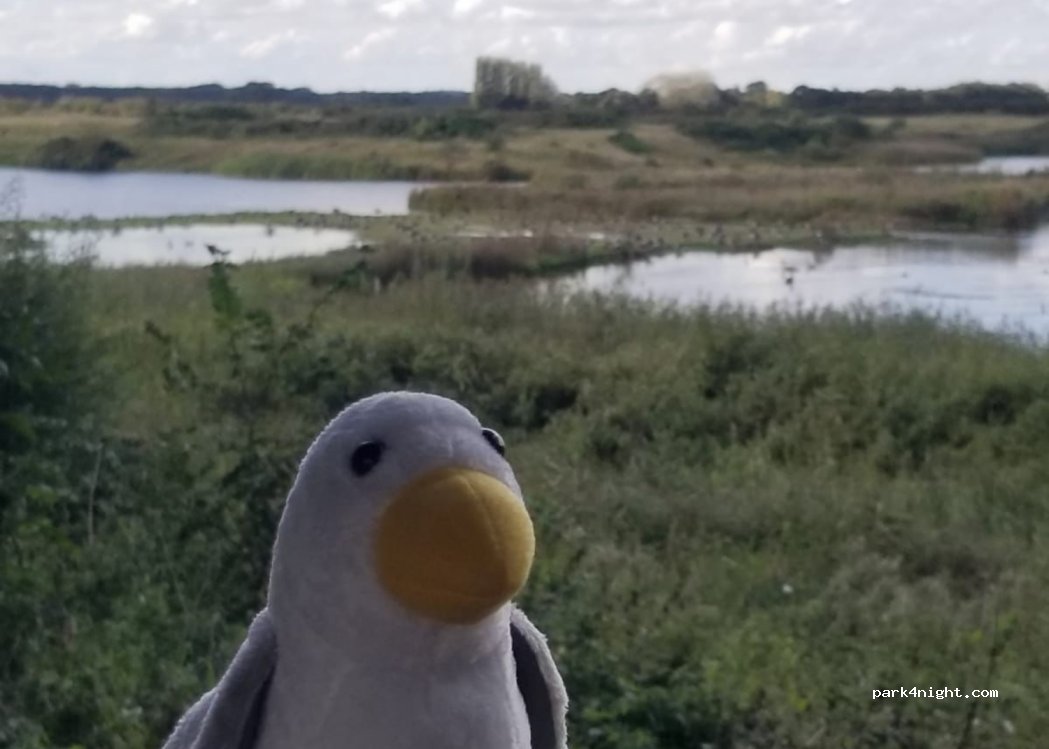 (HU15 2LY) Brough - Dryham Lane — foto