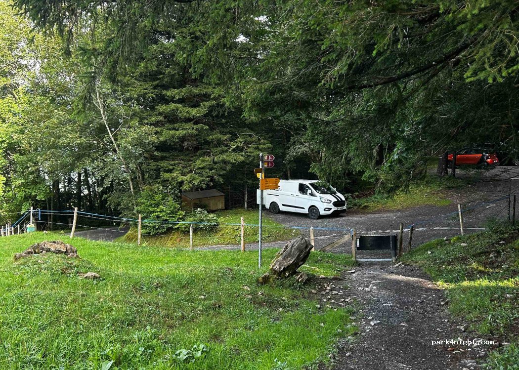 (6424) Lauerz - Bergstrasse — foto