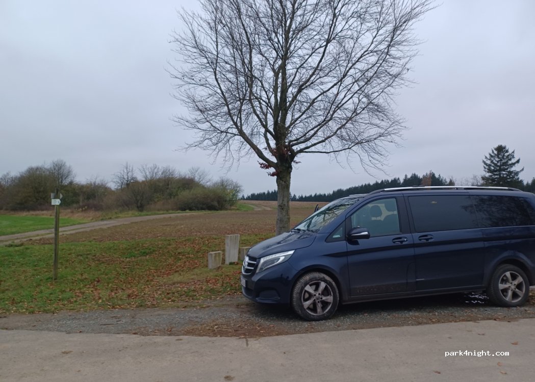 (95191) Leupoldsgrün - — foto 3