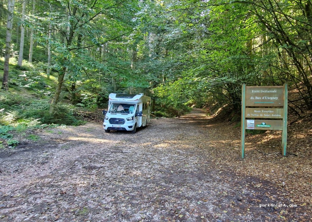 (88000) Épinal - Chemin de Saint-Antoine — foto