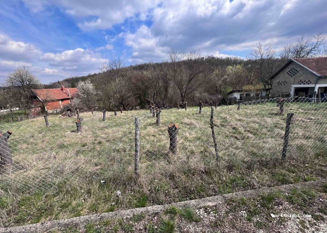 (19000) Gamzigrad - — foto 2
