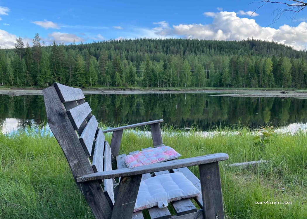 (828 92)  - 161 ÄLMFORS — foto 3