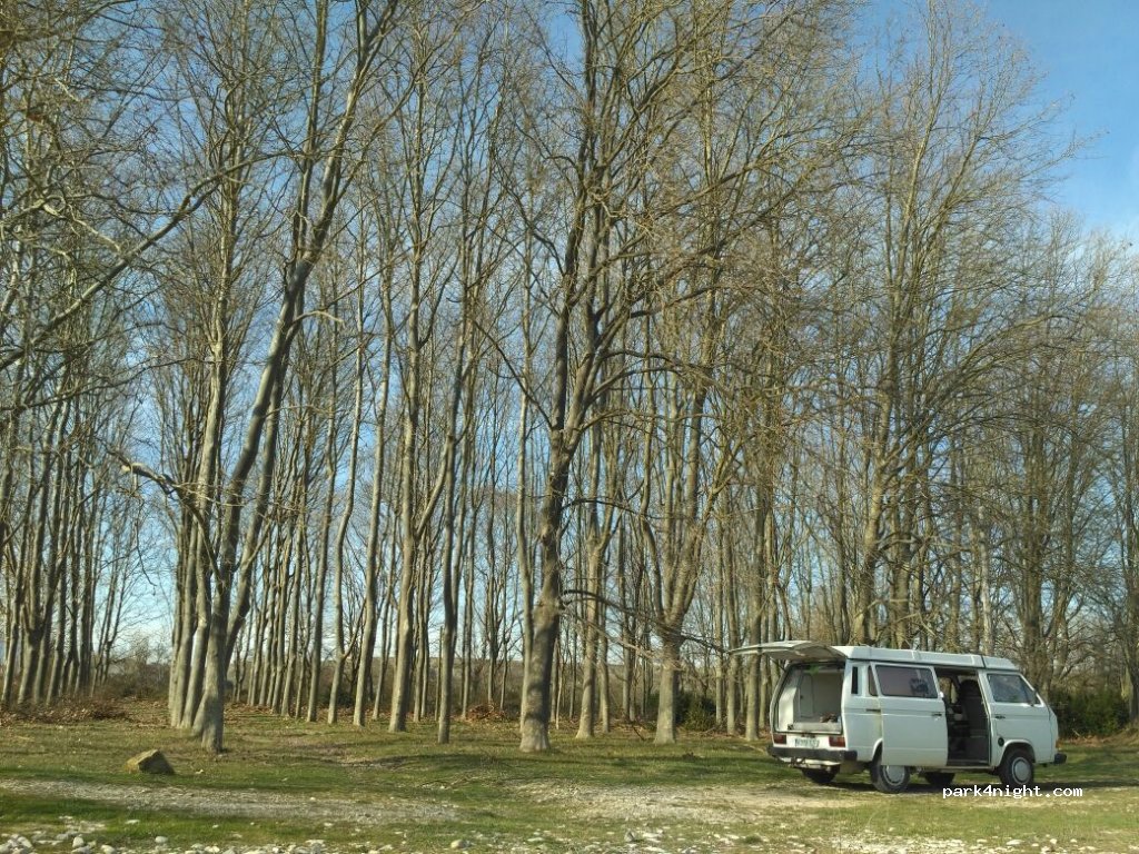 (31448) Rípodas - Carretera de Longuida — foto