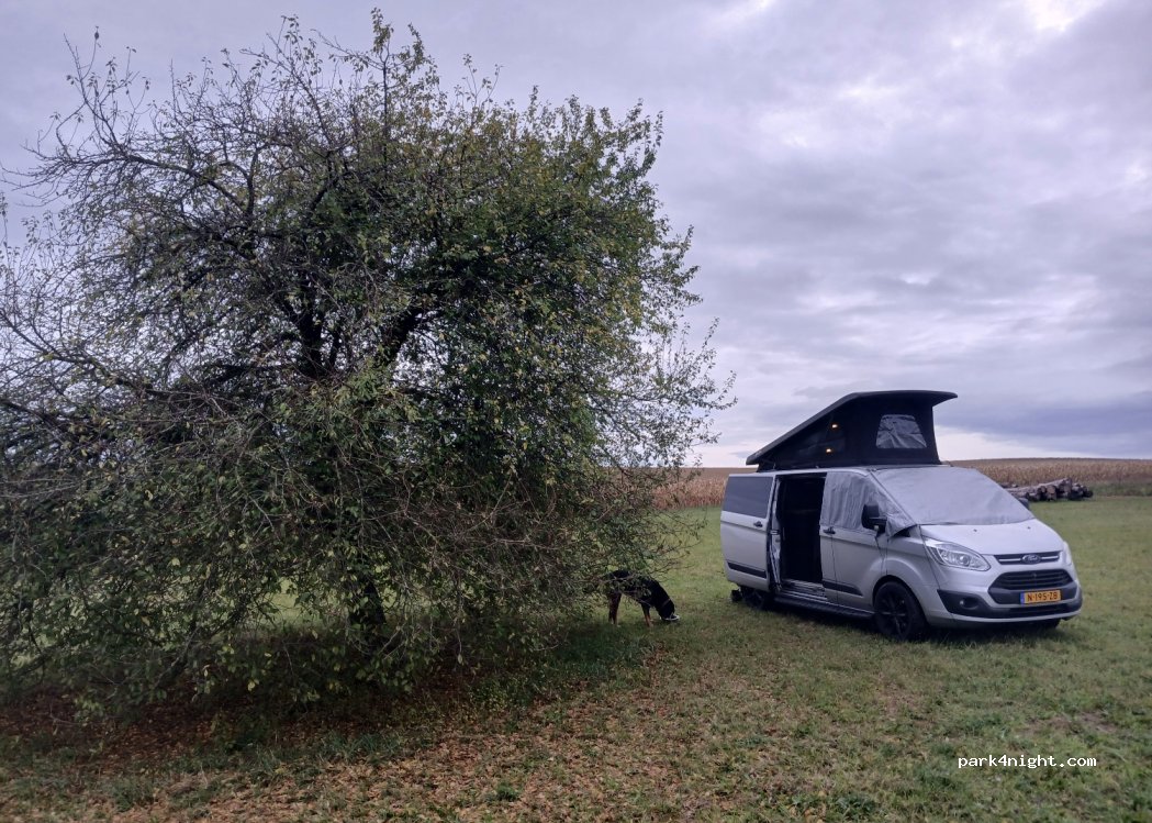 (76889) Dierbach - Unnamed Road — foto 2