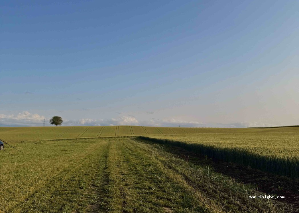 (76889) Dierbach - Unnamed Road — foto 4
