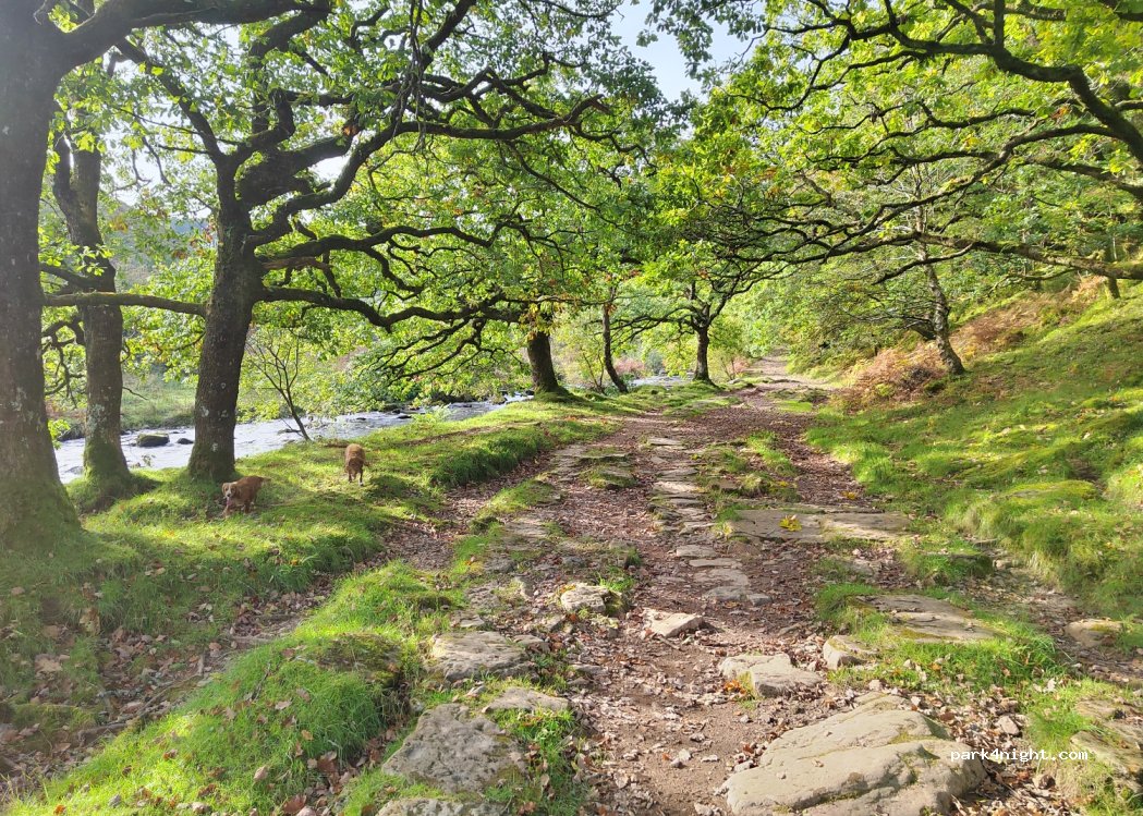Cloud Farm National Trust Campsite — foto 4