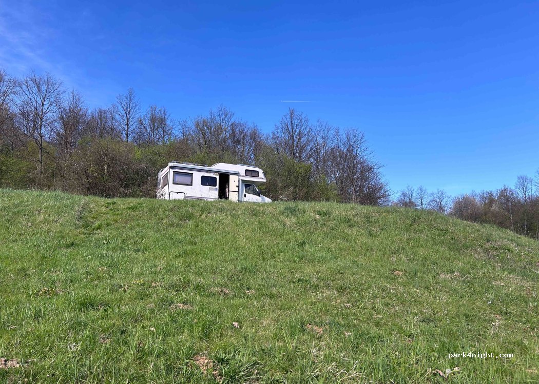 (31418) Borovik - — foto 4