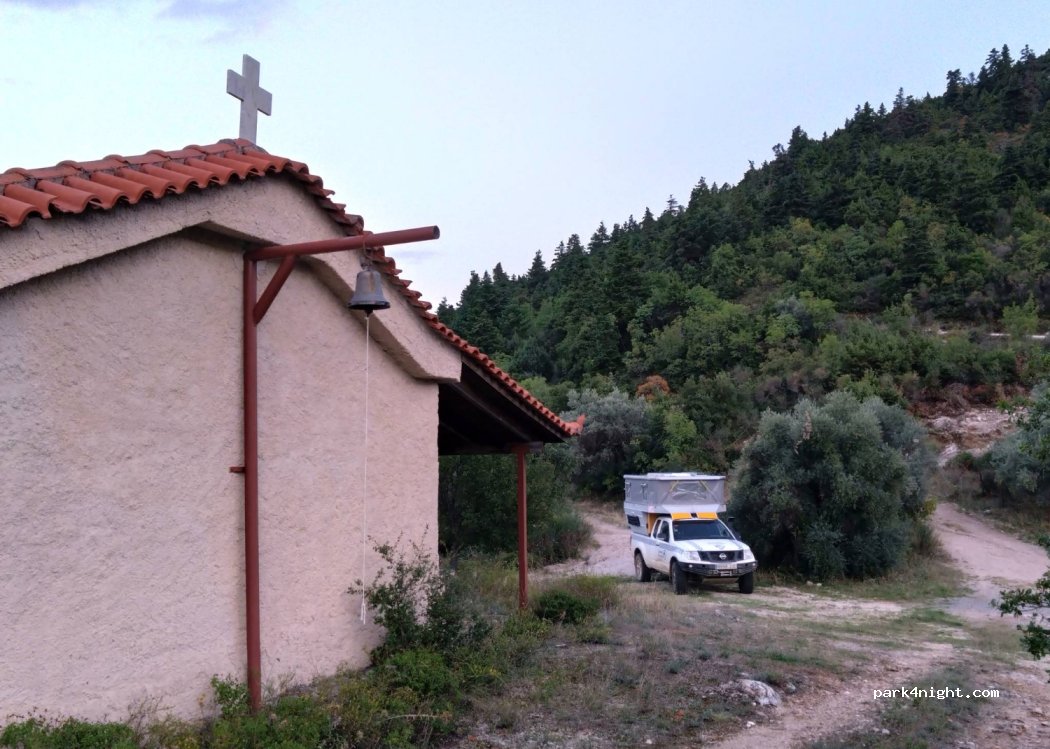 (350 15) Tithorea - — foto 2