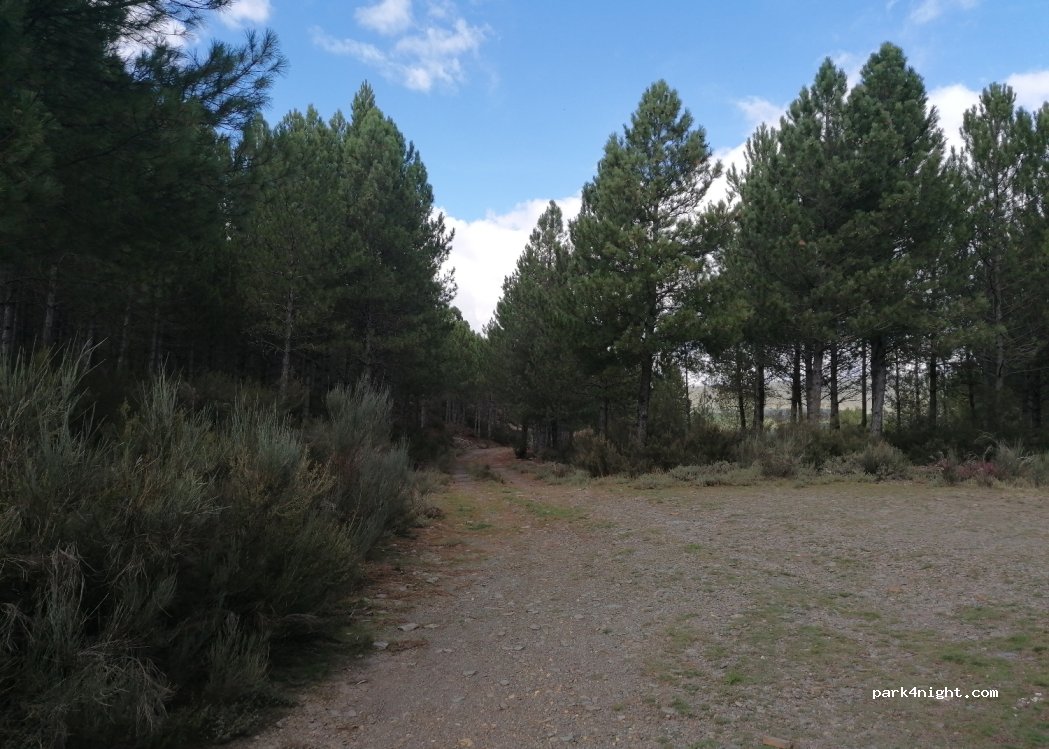 (24397) Villameca - — foto 2