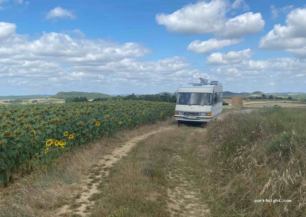 (11400) Mireval-Lauragais - — foto 3