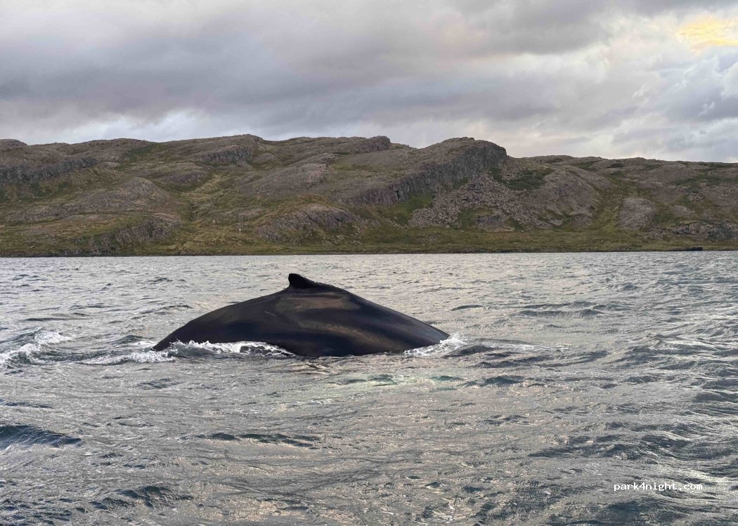 Hveravík camping — foto 5