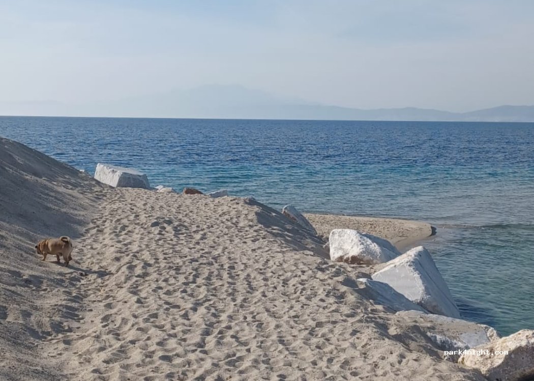 (640 11) Nestos - — foto 5