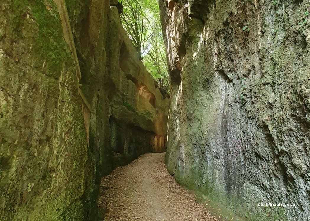 (01030) Corchiano - 2 Via Sant'Egidio — foto 5