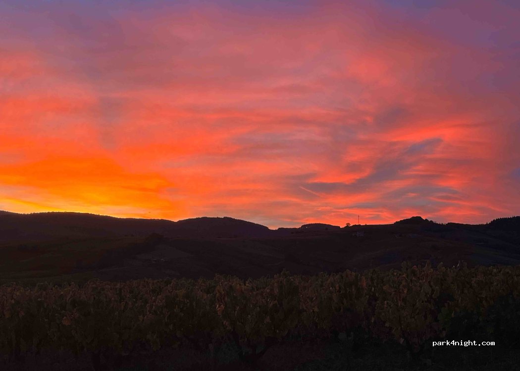 Domaine de la Laveuse — foto 3