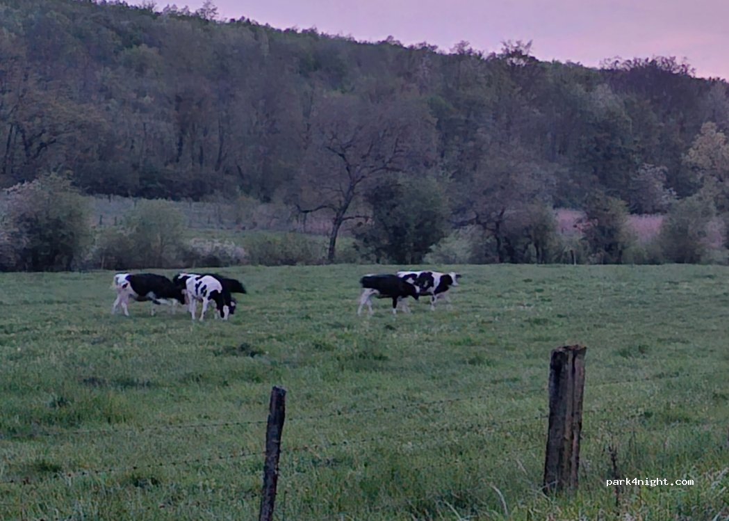 (55220) Souilly - — foto 3